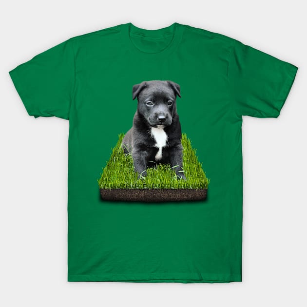 Puppy T-Shirt by melcu